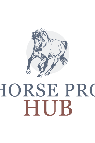 Horse Pro Hub Logo Design